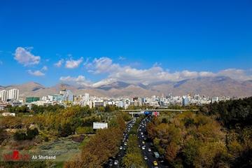 مهدی بابایی در گفت‌وگو با میزان؛ سرانه فضای سبز تهران چقدر است؟